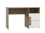 Kirjutuslaud Forte ARKINA, valge/tamm