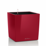 LECHUZA Cube Premium 50 scarlet red, 16567