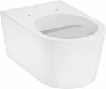 Rippk&auml;imla Hansgrohe EluPura S 60193450