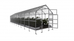 Kasvuhoone KLASIKA Bernard 2,35 x 7 m (16,45 m&sup2;), 6 mm, 23507B6
