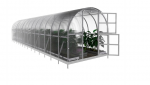Kasvuhoone KLASIKA Arkinis, 3 x 10 m (30 m&sup2;), 6 mm