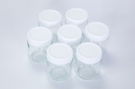 Konteinerid jogurti valmistamiseks Guzzanti GZ 704 (7 tk.)