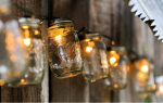 Light bulbs Novus