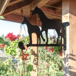 &Otilde;iekandur Glori ja Ko "HOBUSED"