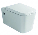 Seinale kinnitatav WC-pott 869WH