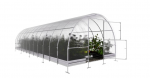 Kasvuhoone KLASIKA 3 x 8 m (24 m&sup2;), 4 mm, 300800E4