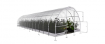 Kasvuhoone KLASIKA 3 x 12 m (36 m&sup2;), 4 mm