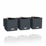 Lechuza Green Wall Home Kit Slate, 13399