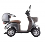 lektriline neljarattaline jalgratas/ mopeed/ roller Lunar 1, 1kW, 20AH, EEC