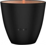 Stadler Form Zoe, Z002