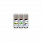 Orgaaniline l&otilde;hnakomplekt &otilde;huniisutajatele Venta 6044200