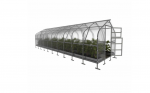 Kasvuhoone KLASIKA DROP 2,5 x 12 m (30 m&sup2;), 6 mm paksune kanaliga pol&uuml;karbonaat