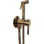 Peidetud bideesegisti du&scaron;iga Paffoni ZDUP 110 HG, kuldne