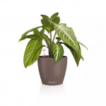 Lillepott LECHUZA Classico Color 14, 16698