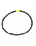 Drive belt for Eliet E401 scarifier, BA521207490