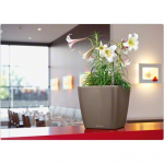 LECHUZA Quadro 21 Shiny Taupe