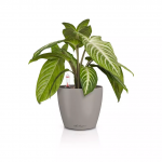 Lillepott LECHUZA Classico Color 14, 16697