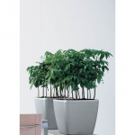 LECHUZA Quadro 21 Silver