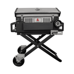 Barbecue-grill, 139x57x100 cm, malmistrestidega