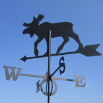 Pikaajaline Beetle Glory ja Co. "BRIEDIS" (V-606)