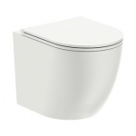 Seinale riputatav WC-pott Omnires OTTAWA Rimless Soft Close prill-lauaga