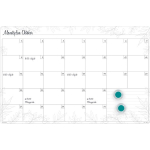 Kuutahvel A3-Plus My Month magnetiline 4 tk