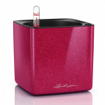 LECHUZA Cube Glossy Kiss 14 cherry pie, 13514