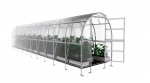Kasvuhoone KLASIKA Slim 2 x 12 m (24 m&sup2;), 6 mm, 2001200S6