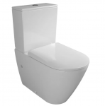 Eraldiseisev kaanega wc Duravit DuraSola, 40610900A9