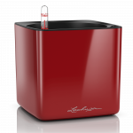 LECHUZA Cube Glossy 16 scarlet red, 13522