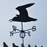 Fern Glory ja Co "Kiras" (V-621)