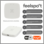 Nutikas kohalolekuandur Feelspot FS-HP01W WiFi, Tuya
