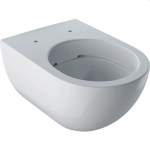 Geberit Acanto Rimfree 500.600.01.2