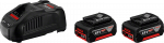 Bosch 2 x GBA 18V 5.0Ah + GAL 1880 CV Professional 1600A00B8J