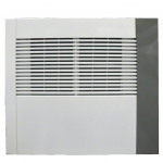 Ecor Pro D1100