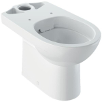 Tualett Geberit Selnova 500.285.01.6