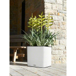 LECHUZA Cube LS Color 35, white