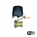Nutikas klapikontroller Feelspot FS-VC01 WiFi