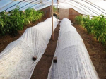 Agrokangas 21 g valge 3,2 m laiusega