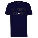 Meeste T-s&auml;rk Tommy Hilfiger Graphic S/S Training Tee - Sinine