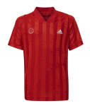 Poiste T-s&auml;rk Adidas Freelift Tee E - Punane
