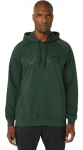 Meeste dressipluus Asics Big Asics Oth Hoodie - Roheline