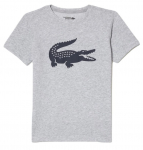 Poiste T-s&auml;rk Lacoste Oversized Tennis T-shirt with XXL Logo - Hall