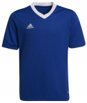 Poiste T-s&auml;rk Adidas Kids Entrada 22 Jersey - Sinine