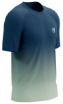 Meeste T-s&auml;rk Compressport Performance Short Sleeve - Mitmev&auml;rviline