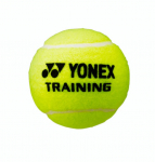 Tennisepallid Yonex Training 60B