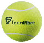 Autogrammipallid Gigant Tecnifibre Big 24 cm - yellow