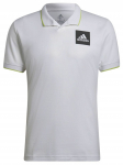 Meeste tennisepolo Adidas Paris Heat.Rdy Tennis Freelift Polo M - Valge