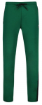 Meeste tennisep&uuml;ksid Le Coq TECH Pant Tapered N&deg;1 SS23 - Roheline