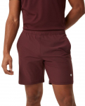 Meeste tennise&scaron;ortsid Bj&ouml;rn Borg Ace 9' Shorts - Pruun